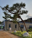 산림조합 산림생태문화센터, 나무처럼 쑥쑥 자라요
