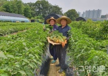 손자들 꿈 자라는 자연놀이터예요