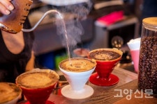 커피나무 재배하는 카페 커피파머