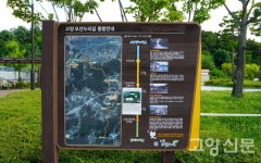 시원한 나무 그늘, 부드러운 흙의 촉감… 무념무상에 빠져드는 오송산 힐링 숲길