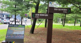 대화천 산책하기가 더 좋아졌어요