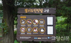 세 그루 소나무 마을 지나니 세 개의 왕릉 나타나네