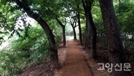 30년 만에 열린 대화천 천변길… 걸어보니 상쾌하네