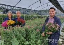 한송이 국화꽃 피우기 위해 흘린 구슬 땀