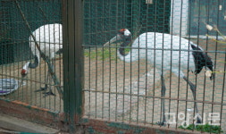 스물 다섯살 일산호수공원… 늘 곁에 있어 줘서 고마워