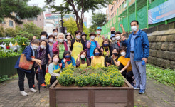 정발산동, 국화꽃 2천본 화단에 심어