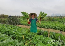 치유와 힐링의 가좌동 주말농장