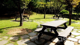 탄현마을 이웃들의 사랑 듬뿍 받는 우리동네 명산 황룡산