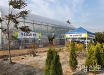 산림생태문화센터에서 진행되는 숲 체험, 분갈이 교육