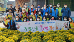 정발산동은 꽃길만 걸어요