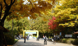 주엽동 화합의 축제, 반가워요