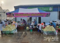 원당농협, 직접 키운 배추로 사랑의 김장