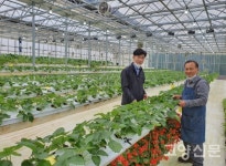 농협대 스마트팜으로 건강하고 맛있는 채소 키워요