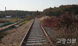 풍요로운 자연과 흥미로운 역사… 공릉천 따라 걷는 가을 데이트