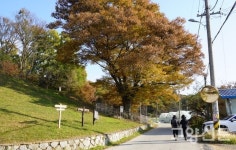 풍요로운 자연과 흥미로운 역사… 공릉천 따라 걷는 가을 데이트