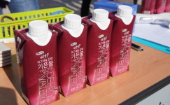 아이쿱 No 플라스틱 약속캠페인 고양에서 힘차게 시작합니다