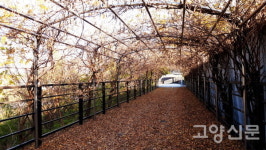 옛 정취 남아있는 선유동, 새 풍경으로 채워진 오금동
