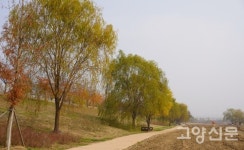 북한산 산바람과 한강의 강바람… 창릉천 굽이 따라 누리길에서 만나네