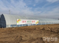 귀농으로 선택한 딸기 행복합니다