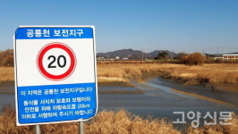 콘크리트 도로에 파묻힌 생태 둑방길 아, 공릉천 하구…