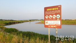 콘크리트 도로에 파묻힌 생태 둑방길 아, 공릉천 하구…