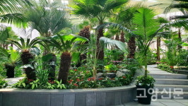 탁 트인 풍경 그리울 땐… 여기가 자유로 드라이브 핫플