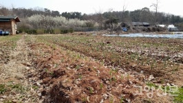 [김한수] 제법 남는 장사를 시작하다