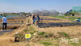 고양시 공무원 가족농장 100가족 행복한 텃밭 개장