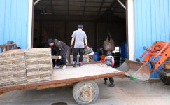 송포지역 곡창지대는 농번기 중