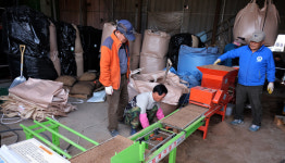 송포지역 곡창지대는 농번기 중