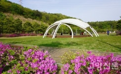 만개한 철쭉잔치 보고 싶다면… 가깝고 한가로운 월롱산 강추!