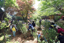 나무를 심고 마을이 더 맑아졌어요