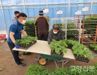 원당농협, 조합원 농장 입간판 지원사업 완료