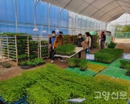 원당농협, 조합원 농장 입간판 지원사업 완료