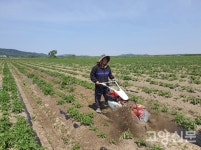 직접 재배한 친환경농산물 학교급식공급 보람