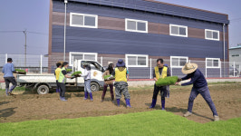 송포농협이 풍년 못자리 지원합니다