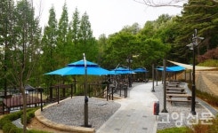 환경은 쾌적, 시설은 깔끔… 성라공원에서 피크닉 즐겨요