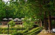 환경은 쾌적, 시설은 깔끔… 성라공원에서 피크닉 즐겨요