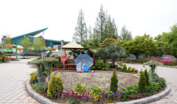 호수공원에 여름꽃이 활짝입니다