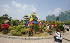호수공원에 여름꽃이 활짝입니다