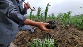 지렁이농장에 지렁이는 없고 악취만… 폐기물 수천톤 불법매립 의심