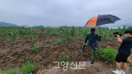 지렁이농장에 지렁이는 없고 악취만… 폐기물 수천톤 불법매립 의심