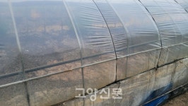 지렁이농장에 지렁이는 없고 악취만… 폐기물 수천톤 불법매립 의심