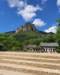 힐링푸드(예림임업) | 산림조합, 산주와 임업인들 '힐링 창의 교육'