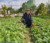흙냄새 맡고 일했더니 혈액암 회복