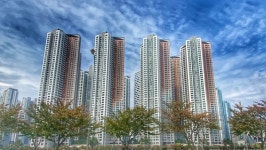 꿈에 그린 페스티벌 열린다