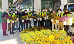 마두1동, 가을의 여왕 국화와 함께! 