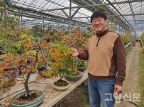 애기감(노아시) 전시 구경오세요