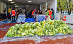 백석2동, 온정의 김장나눔 했어요