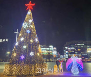 일산문화광장에 8m 높이 성탄트리 한 달간 불 밝혀